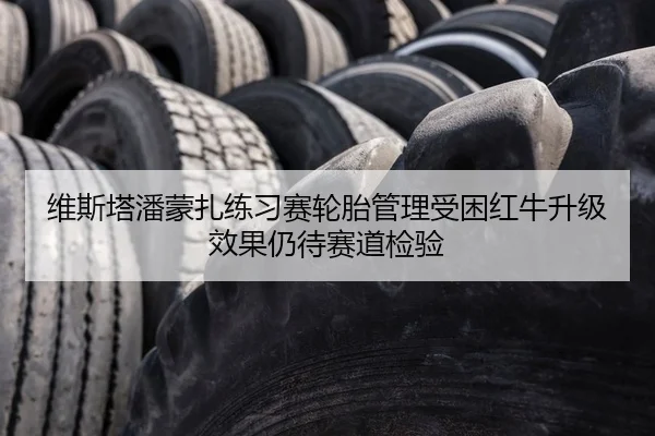 维斯塔潘蒙扎练习赛轮胎管理受困红牛升级效果仍待赛道检验