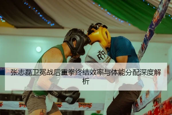 张志磊卫冕战后重拳终结效率与体能分配深度解析